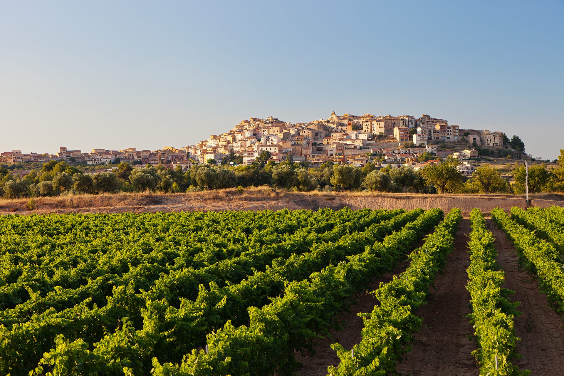 Wonen in Catalonië